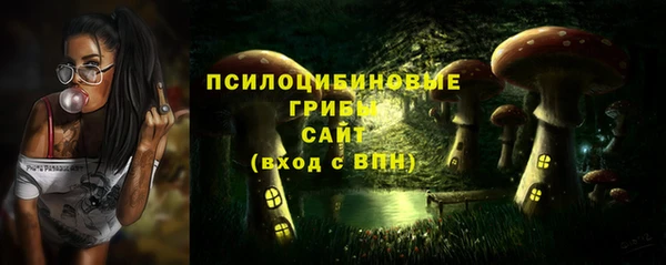 ешки Алексин