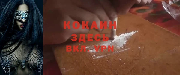ешки Алексин