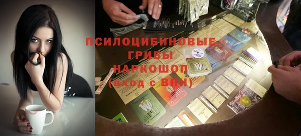ешки Алексин