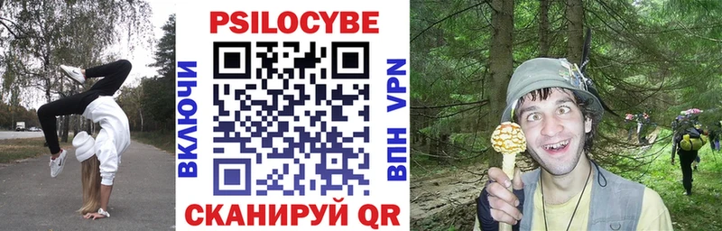 ОМГ ОМГ сайт  Заозёрный  Галлюциногенные грибы MAGIC MUSHROOMS  что такое наркотик 